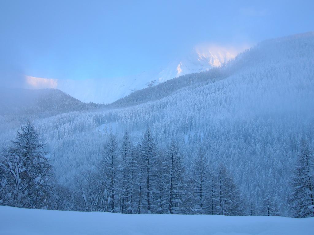 Casa Grande Appartamento Pragelato Esterno foto